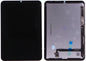 Apple iPad Mini 6 Display Assembly (Pulled) – Black